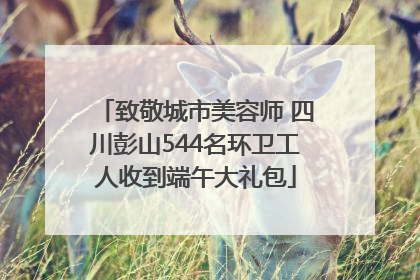 致敬城市美容师 四川彭山544名环卫工人收到端午大礼包
