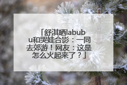 舒淇晒labubu和哭娃合影：一同去郊游！网友：这是怎么火起来了？