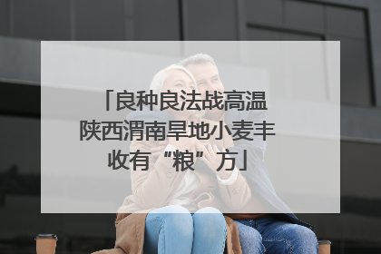 良种良法战高温 陕西渭南旱地小麦丰收有“粮”方