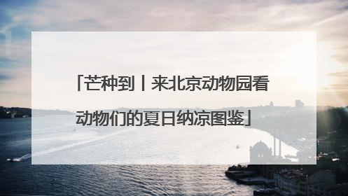 芒种到丨来北京动物园看动物们的夏日纳凉图鉴