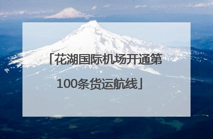 花湖国际机场开通第100条货运航线
