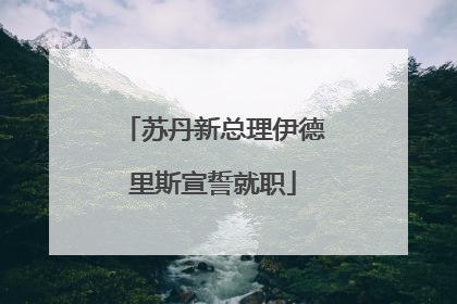 苏丹新总理伊德里斯宣誓就职