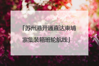 苏州港开通直达柬埔寨集装箱班轮航线