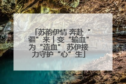 苏韵伊情 奔赴“疆”来丨变“输血”为“造血” 苏伊接力守护“心”生