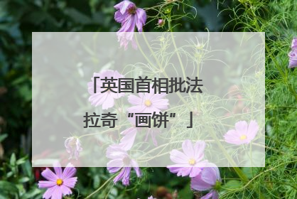英国首相批法拉奇“画饼”