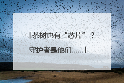 茶树也有“芯片”？守护者是他们……