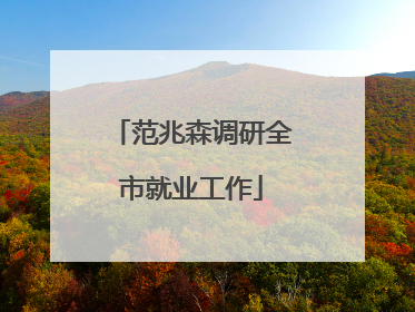 范兆森调研全市就业工作