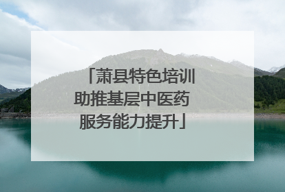 萧县特色培训助推基层中医药服务能力提升