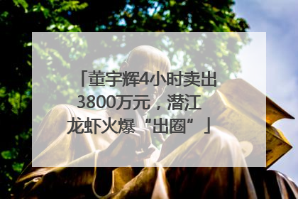董宇辉4小时卖出3800万元，潜江龙虾火爆“出圈”