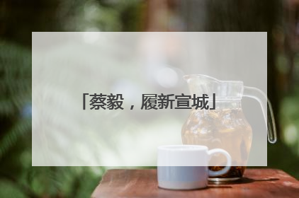 蔡毅，履新宣城