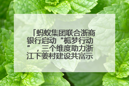 蚂蚁集团联合浙商银行启动“栀梦行动”，三个维度助力浙江下姜村建设共富示范区示范点