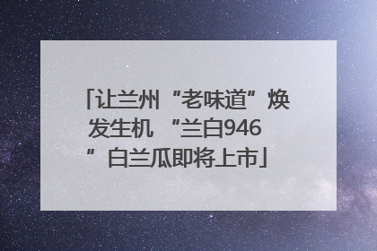 让兰州“老味道”焕发生机 “兰白946”白兰瓜即将上市