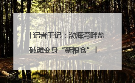 记者手记：渤海湾畔盐碱滩变身“新粮仓”