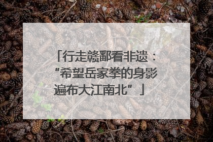 行走赣鄱看非遗：“希望岳家拳的身影遍布大江南北”