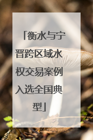 衡水与宁晋跨区域水权交易案例入选全国典型