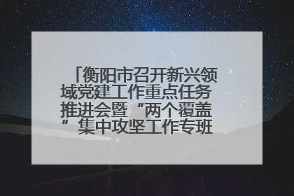 衡阳市召开新兴领域党建工作重点任务推进会暨“两个覆盖”集中攻坚工作专班 第一次会议