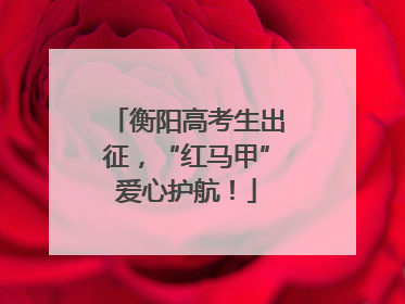 衡阳高考生出征，“红马甲”爱心护航！