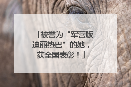 被誉为“军营版迪丽热巴”的她，获全国表彰！