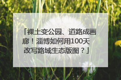 裸土变公园、道路成画廊！淄博如何用100天改写路域生态版图？