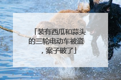 装有西瓜和蒜头的三轮电动车被盗，案子破了