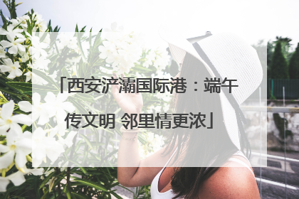 西安浐灞国际港：端午传文明 邻里情更浓