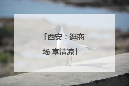 西安：逛商场 享清凉