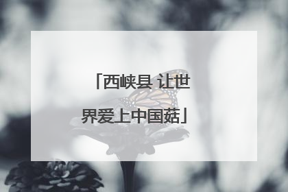 西峡县 让世界爱上中国菇