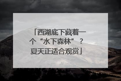 西湖底下藏着一个“水下森林”？夏天正适合观赏