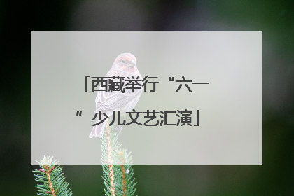 西藏举行“六一”少儿文艺汇演