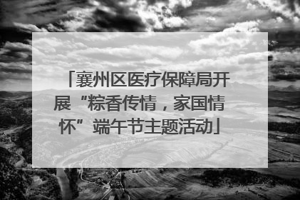 襄州区医疗保障局开展“粽香传情，家国情怀”端午节主题活动