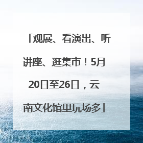 观展、看演出、听讲座、逛集市！5月20日至26日，云南文化馆里玩场多