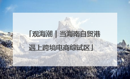 观海潮｜当海南自贸港遇上跨境电商综试区