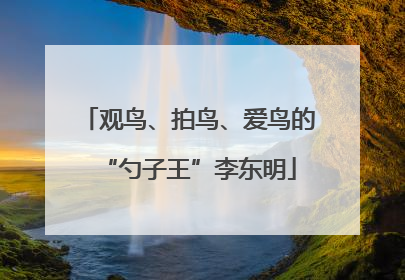 观鸟、拍鸟、爱鸟的“勺子王”李东明