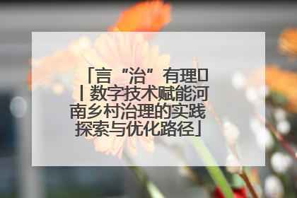 言“治”有理⑪丨数字技术赋能河南乡村治理的实践探索与优化路径