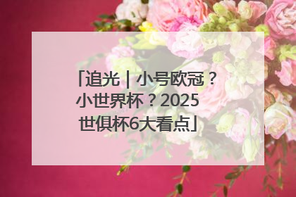 追光｜小号欧冠？小世界杯？2025世俱杯6大看点