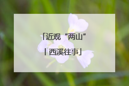 近观“两山”丨西溪往事