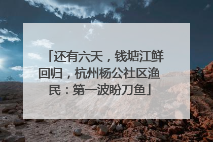还有六天，钱塘江鲜回归，杭州杨公社区渔民：第一波盼刀鱼