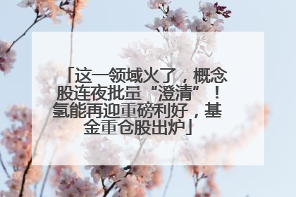 这一领域火了，概念股连夜批量“澄清”！氢能再迎重磅利好，基金重仓股出炉