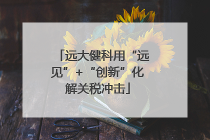 远大健科用“远见”+“创新”化解关税冲击