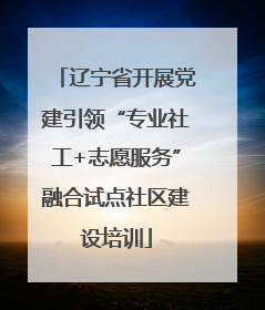 辽宁省开展党建引领“专业社工+志愿服务”融合试点社区建设培训