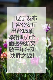 辽宁发布｜省公安厅出台15项举措助力全面振兴新突破三年行动决胜之战