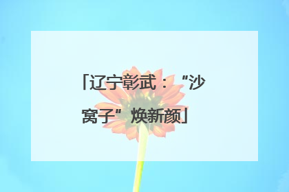 辽宁彰武：“沙窝子”焕新颜