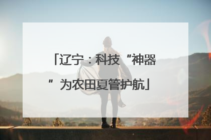 辽宁：科技“神器”为农田夏管护航