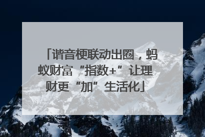谐音梗联动出圈，蚂蚁财富“指数+”让理财更“加”生活化