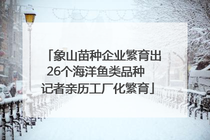 象山苗种企业繁育出26个海洋鱼类品种 记者亲历工厂化繁育