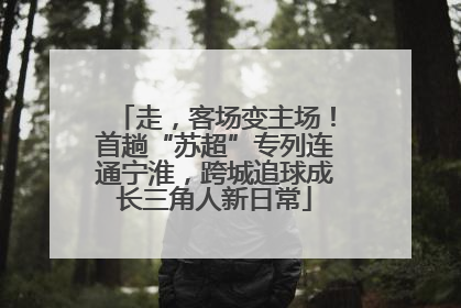 走，客场变主场！首趟“苏超”专列连通宁淮，跨城追球成长三角人新日常