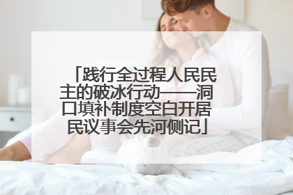 践行全过程人民民主的破冰行动——洞口填补制度空白开居民议事会先河侧记