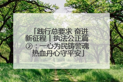 践行总要求 奋进新征程丨执法公正篇②：一心为民铸警魂 热血丹心守平安