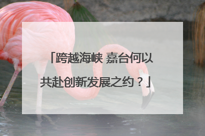 跨越海峡 嘉台何以共赴创新发展之约？