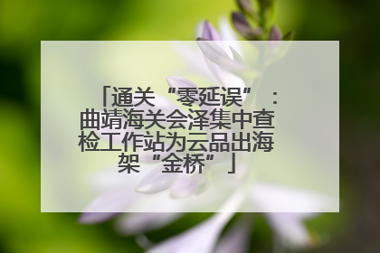 通关“零延误”：曲靖海关会泽集中查检工作站为云品出海架“金桥”
